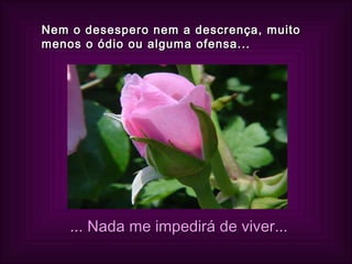 Nem o desespero nem a descrença, muito menos o ódio ou alguma ofensa... ... Nada me impedirá de viver... 
