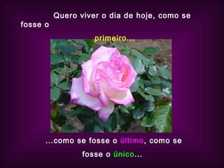 Quero viver o dia de hoje, como se fosse o primeiro... ...como se fosse o   último , como se  fosse o  único ...  
