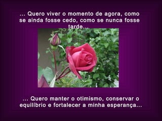 ... Quero viver o momento de agora, como se ainda fosse cedo, como se nunca fosse tarde...  ... Quero manter o otimismo, conservar o equilíbrio e fortalecer a minha esperança... 