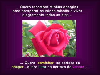 ... Quero recompor minhas energias  para prosperar na minha missão e viver alegremente todos os dias... ... Quero  caminhar   na certeza de  chegar ...quero  lutar  na certeza de  vencer ... 