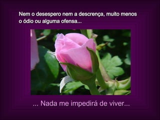 Nem o desespero nem a descrença, muito menos o ódio ou alguma ofensa... ... Nada me impedirá de viver... 