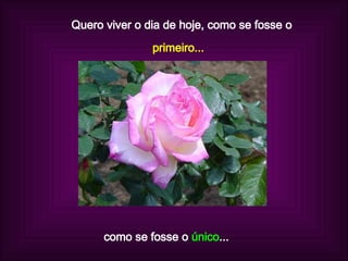 Quero viver o dia de hoje, como se fosse o primeiro... como se fosse o  único ...  