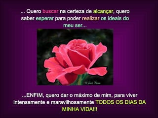 ... Quero  buscar  na certeza de  alcançar , quero saber  esperar  para poder   realizar  os ideais do meu ser... ...ENFIM, quero dar o máximo de mim, para viver intensamente e maravilhosamente  TODOS OS DIAS DA MINHA VIDA!!! 