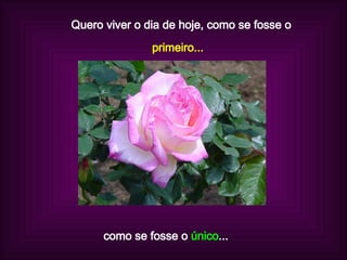 Quero viver o dia de hoje, como se fosse o primeiro... como se fosse o  único ...  