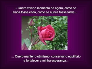 ... Quero viver o momento de agora, como se ainda fosse cedo, como se nunca fosse tarde...  ... Quero manter o otimismo, conservar o equilíbrio e fortalecer a minha esperança... 