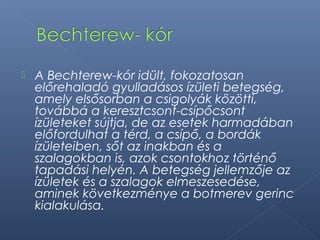  A Bechterew-kór idült, fokozatosan
előrehaladó gyulladásos ízületi betegség,
amely elsősorban a csigolyák közötti,
továbbá a keresztcsont-csípőcsont
ízületeket sújtja, de az esetek harmadában
előfordulhat a térd, a csípő, a bordák
ízületeiben, sőt az inakban és a
szalagokban is, azok csontokhoz történő
tapadási helyén. A betegség jellemzője az
ízületek és a szalagok elmeszesedése,
aminek következménye a botmerev gerinc
kialakulása.
 