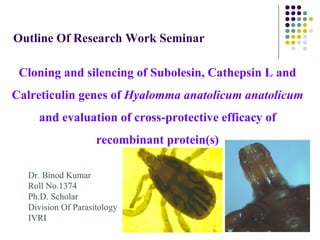 Outline Of Research Work Seminar

 Cloning and silencing of Subolesin, Cathepsin L and
Calreticulin genes of Hyalomma anatolicum anatolicum
    and evaluation of cross-protective efficacy of
                    recombinant protein(s)

  Dr. Binod Kumar
  Roll No.1374
  Ph.D. Scholar
  Division Of Parasitology
  IVRI
                                                       1
 