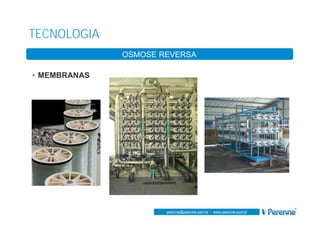 www.perenne.com.br
perenne@perenne.com.br - www.perenne.com.br
TECNOLOGIA
OSMOSE REVERSA
• MEMBRANAS
 