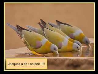 Jacques a dit : on boit !!!!!
 