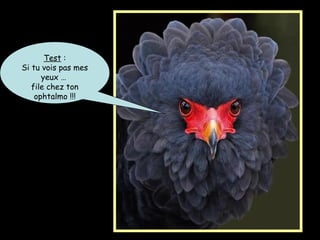 Test :
Si tu vois pas mes
yeux …
file chez ton
ophtalmo !!!
 
