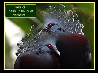 Très joli ,
dans un bouquet
de fleurs…
 