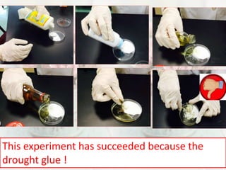 This experiment has succeeded because the 
drought glue ! 
 