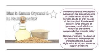 Gamma oryzanol is most readily
available in rice bran oil which is
oil that is extracted from the
kernels, seeds, or bran fraction
of the rice plant. Rice bran oil
contains large amounts of
gamma oryzanol which is a
mixture of antioxidant
compounds that promote better
health.
Gamma oryzanol in rice bran oil
has been used to help support
cholesterol levels, balance
triglyceride levels, and in cancer
support treatment.
 