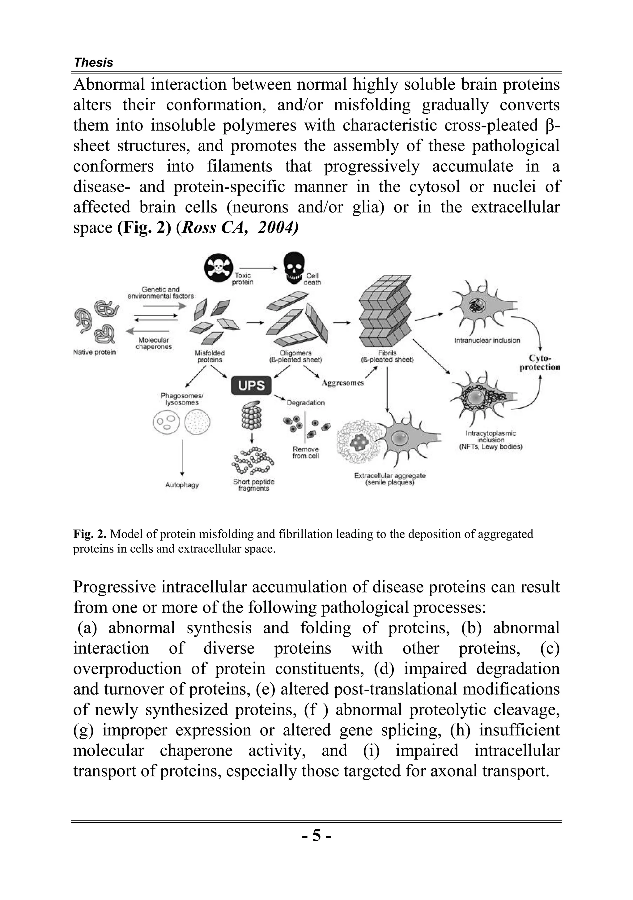 Thesis section: Role of Oxidative Stress in the pathogenesis of ...