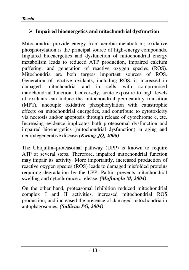 Thesis mitochondria