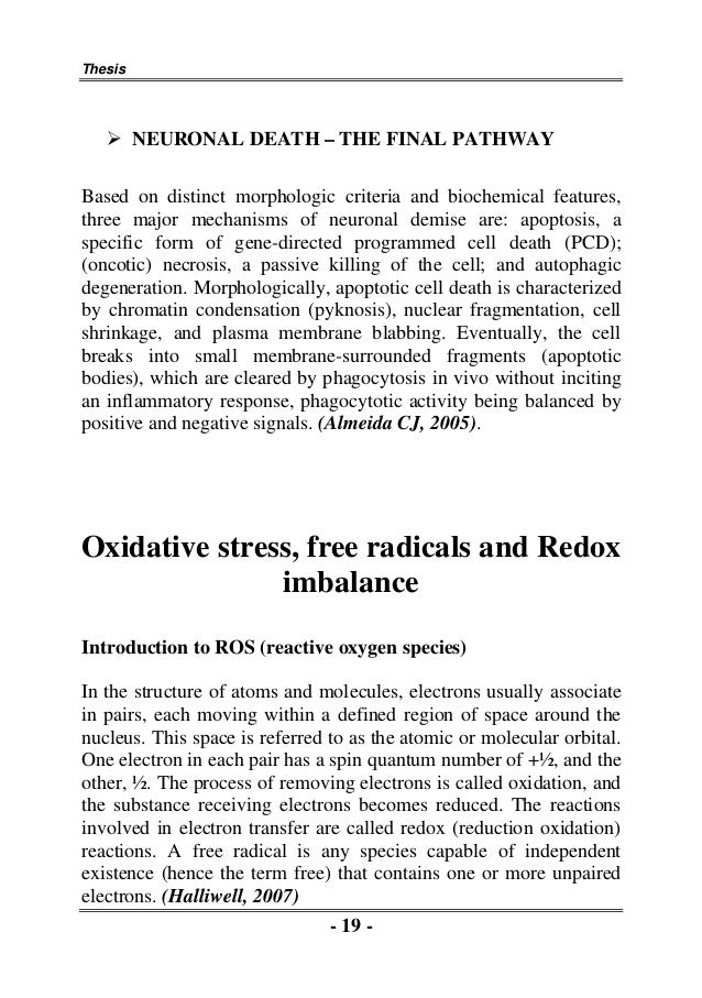 Oxidative stress phd thesis