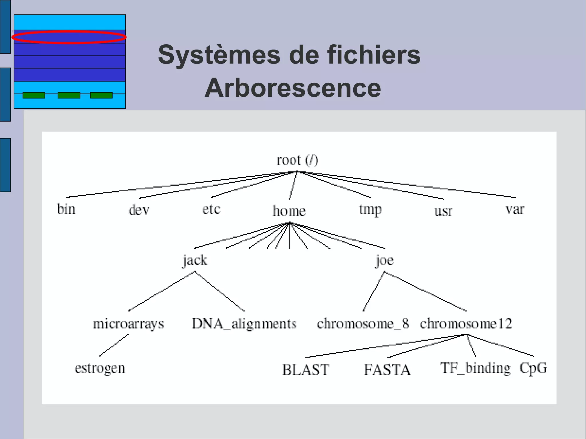 Systèmes de fichiers
Arborescence

 
