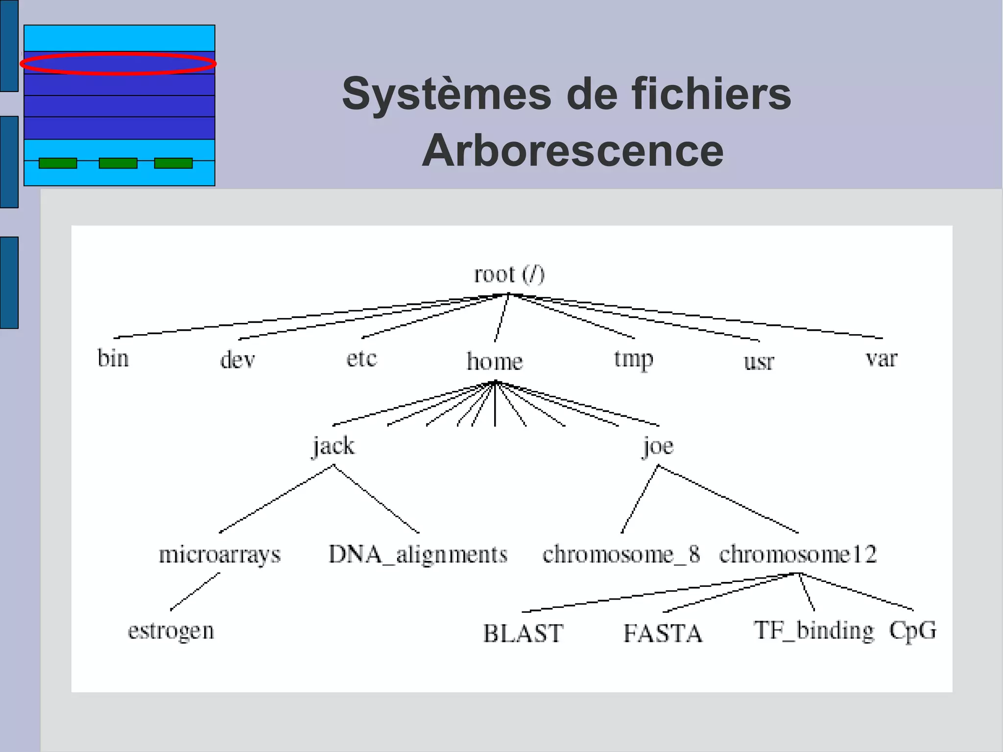 Systèmes de fichiers
Arborescence

 
