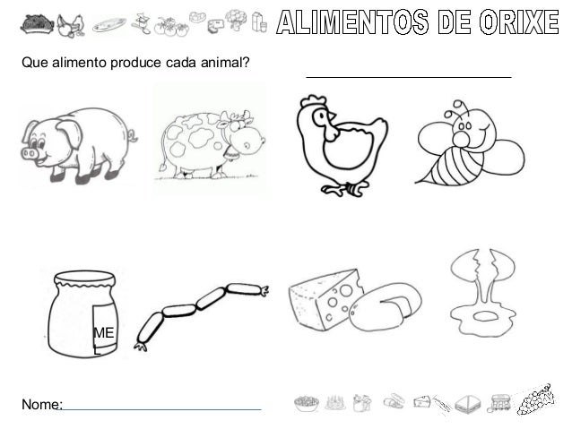 Alimentos De Origen Animal Para Colorear