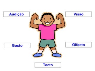 Audição Tacto Gosto Olfacto Visão 
