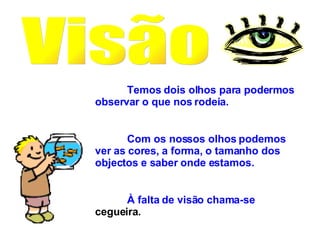 Visão Temos dois olhos para podermos observar o que nos rodeia. Com os nossos olhos podemos ver as cores, a forma, o tamanho dos objectos e saber onde estamos. À falta de visão chama-se  cegueira. 
