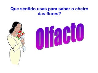 Que sentido usas para saber o cheiro das flores? Olfacto 