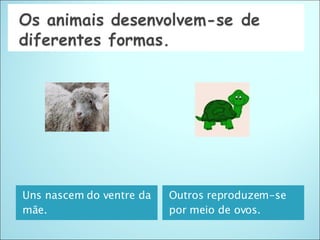 Uns nascem do ventre da mãe. Outros reproduzem-se por meio de ovos. 