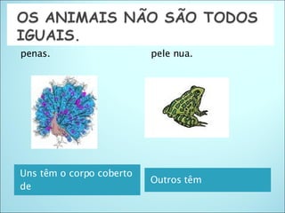 Uns têm o corpo coberto de Outros têm penas. pele nua. 