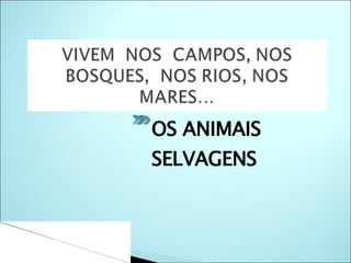 OS ANIMAIS SELVAGENS 