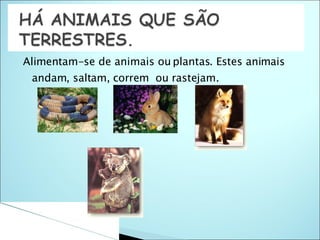 Alimentam-se de animais ou plantas. Estes animais andam, saltam, correm  ou rastejam. 
