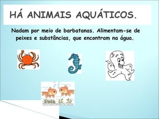 Nadam por meio de barbatanas. Alimentam-se de peixes e substâncias, que encontram na água. 