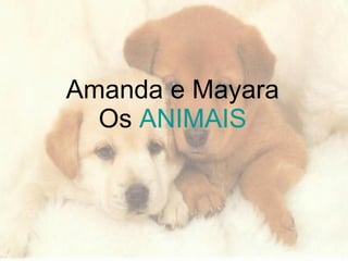 Amanda e Mayara Os  ANIMAIS 