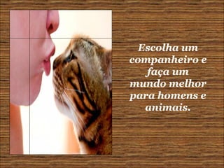 Escolha um companheiro e faça um mundo melhor para homens e animais. 