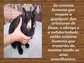 Se existem homens que negam a qualquer das criaturas de Deus, o abrigo e a solidariedade, então existem homens que tratarão do mesmo modo os seus semelhantes. 