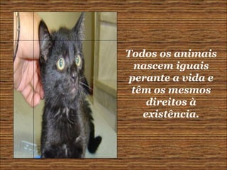 Todos os animais nascem iguais perante a vida e têm os mesmos direitos à existência. 