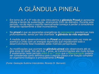 A GLÂNDULA PINEAL Em torno do 4º e 5º mês de vida intra-uterina a  glândula Pineal  já apresenta células e tecido de sustentação, alcançando 2mm de diâmetro. Durante este período, via de regra o espírito reencarnante começa a perder a consciência atingindo rapidamente a total inconsciência.  Na  pineal  é que as expansões energéticas do  psicossoma  prendem-se mais profundamente, sendo por isto chamada " a glândula da vida espiritual . À medida que o desenvolvimento da  Pineal  se processa cada vez mais se acentua a união com as energias espirituais que impulsionam todo o desenvolvimento fetal modelado pelas matrizes perispirituais.  As modificações que ocorrem na  glândula pineal  são observáveis até os dois anos de idade. Daí até 6 ou 7 anos, as transformações são muito lentas. É exatamente neste período  entre 6 ou 7 anos  que a  Reencarnação  poderia ser considerada como definitiva pois o espírito passa a ter fixação completa ao organismo biológico e principalmente à  Pineal       (Fonte: Gestação Sublime Intercâmbio, Ricardo Di  Bernardi)    