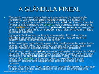 A GLÂNDULA PINEAL " Enquanto o nosso companheiro se aproveitava da organização mediúnica, vali-me das  forças magnéticas  que o instrutor me fornecera, para fixar a máxima atenção no  médium . Quanto mais lhe notava as singularidades do  cérebro , mais admirava a luz crescente que a  epífise  deixava perceber. A  glândula minúscula  transformara-se em núcleo radiante e, em derredor, seus raios formavam um lótus de pétalas sublimes.  Examinei atentamente os demais encarnados. Em todos eles,  a glândula  apresentava notas de luminosidade, mas em nenhum brilhava como no intermediário em serviço.  Sobre o núcleo, semelhante agora a flor resplandecente, caiam luzes suaves, de Mais Alto, reconhecendo eu que ali se encontravam em jogo de vibrações delicadíssimas, imperceptíveis para mim.  Estudara a função da  epífise  nos meus apagados serviços de médico terrestre. Segundo os orientadores clássicos, circunscreviam-se suas atribuições ao  controle sexual  no período infantil.    Não passava de velador dos  instintos , até que as rodas da experiência sexual pudessem deslizar com regularidade, pelos caminhos da vida humana.    Depois, decrescia em força, relaxava-se, quase desaparecia, para que as glândulas genitais a sucedessem no campo da energia plena(...)” (Missionários da Luz, André Luiz) 