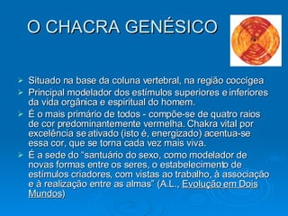 O CHACRA GENÉSICO Situado na base da coluna vertebral, na região coccígea Principal modelador dos estímulos superiores e inferiores da vida orgânica e espiritual do homem.  É o mais primário de todos - compõe-se de quatro raios de cor predominantemente vermelha. Chakra vital por excelência se ativado (isto é, energizado) acentua-se essa cor, que se torna cada vez mais viva.  É a sede do “santuário do sexo, como modelador de novas formas entre os seres, o estabelecimento de estímulos criadores, com vistas ao trabalho, à associação e à realização entre as almas” (A.L.,  Evolução em Dois Mundos ) 