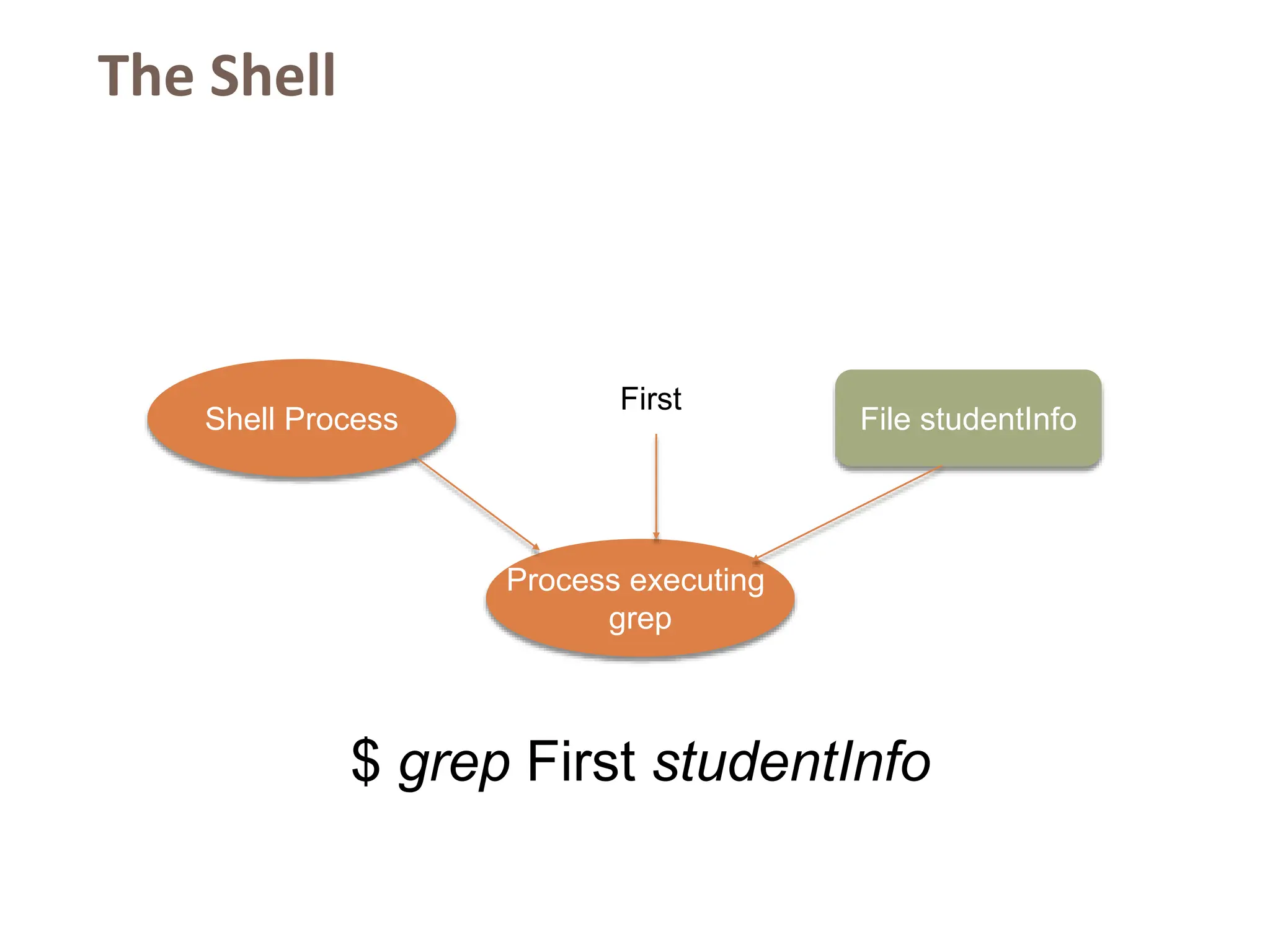 The Shell
Shell Process
Process executing
grep
File studentInfo
$ grep First studentInfo
First
 