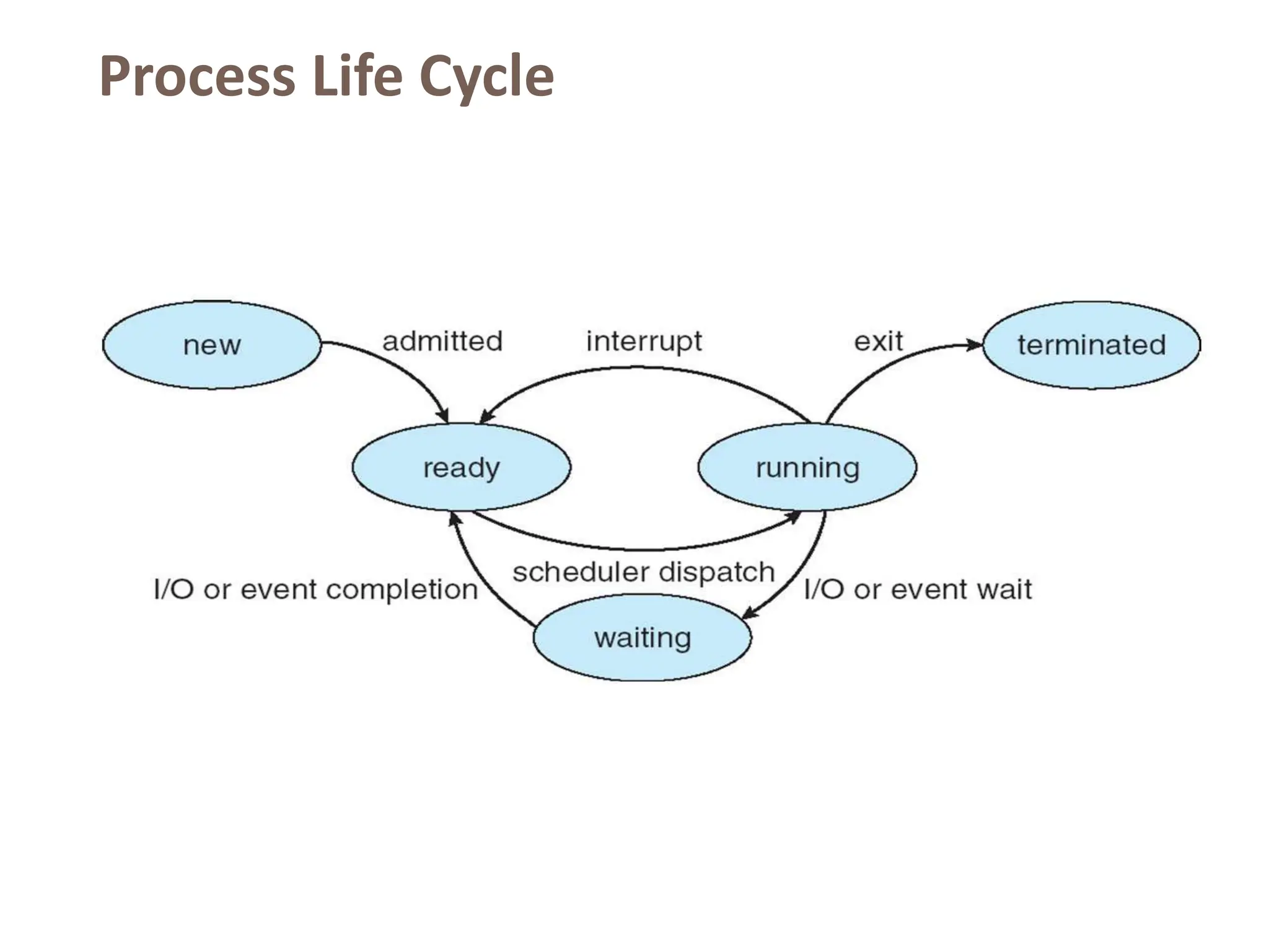 Process Life Cycle
 