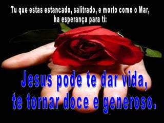 Jesus pode te dar vida,  te tornar doce e generoso. Tu que estas estancado, salitrado, e morto como o Mar,  ha esperança para ti:  