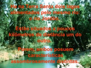 Ha na Terra Santa dois lagos alimentados pelo mesmo rio: o rio Jordão.  Estão situados a poucos kilômetros de distância um do outro.  Porem, ambos posuem características assombrosamente distintas.  