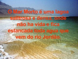 O Mar Morto é uma lagoa salitrosa e densa, onde não ha vida e fica estancada toda agua que vem do rio Jordão. 