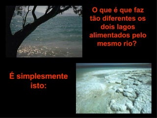 O que é que faz tão diferentes os dois lagos alimentados pelo mesmo rio?  É simplesmente isto:  