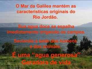 O Mar da Galilea mantém as caracteristicas originais do Rio Jordão.  Sua agua doce se espalha imediatamente irrigando os campos. Saciando a sede dos homens  e dos animais.  É uma “agua generosa” Geradora de vida 