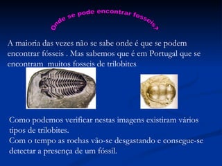 A maioria das vezes não se sabe onde é que se podem encontrar fósseis . Mas sabemos que é em Portugal que se encontram  muitos fosseis de trilobites .  Como podemos verificar nestas imagens existiram vários tipos de trilobites. Com o tempo as rochas vão-se desgastando e consegue-se detectar a presença de um fóssil. Onde se pode encontrar fosseis? 