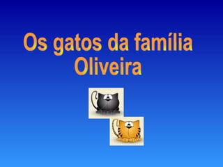 Os gatos da família Oliveira 