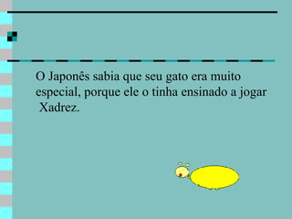 O Japonês sabia que seu gato era muito especial, porque ele o tinha ensinado a jogar  Xadrez.  