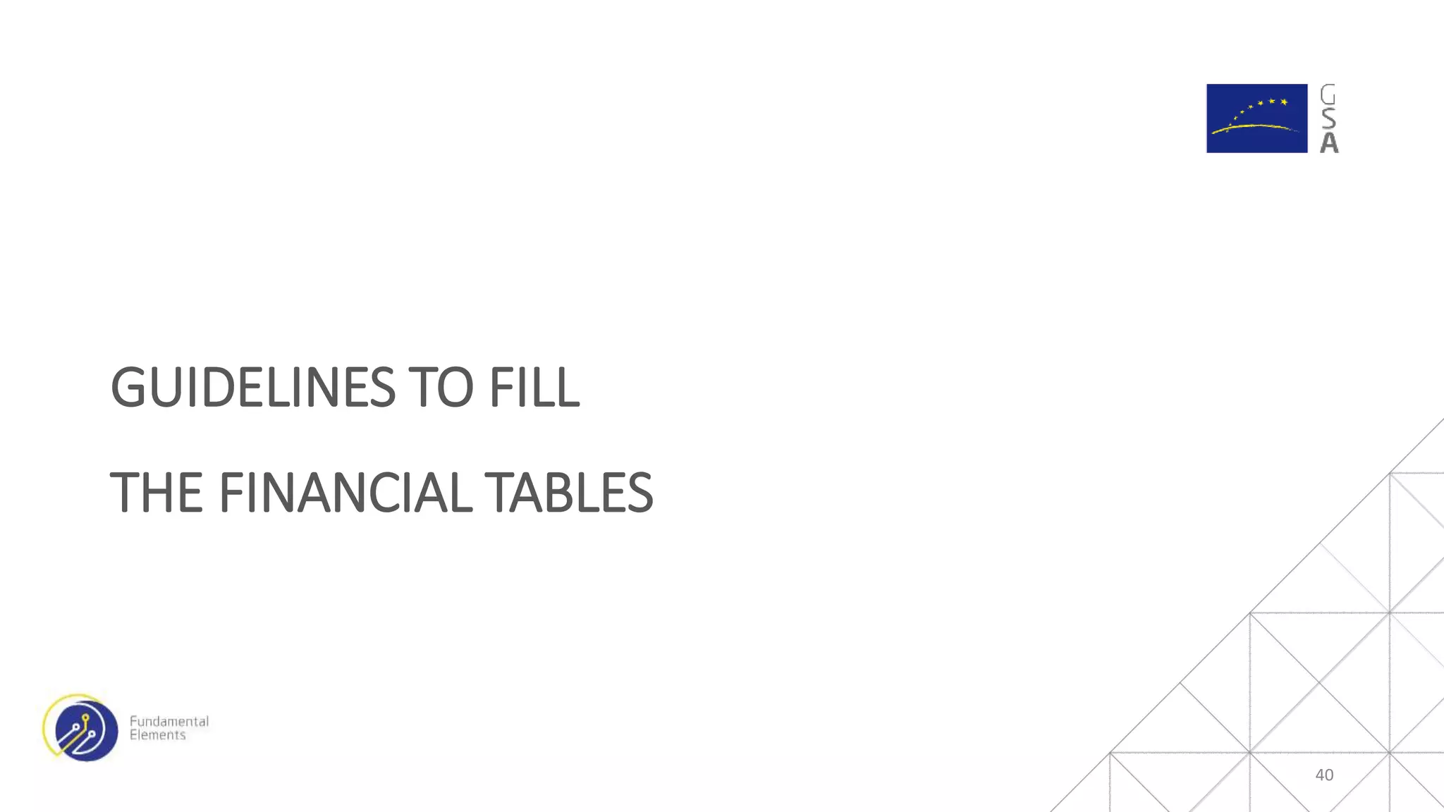 GUIDELINES TO FILL
THE FINANCIAL TABLES
40
 