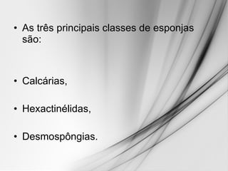 As três principais classes de esponjas são:  Calcárias,  Hexactinélidas, Desmospôngias.  